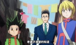 漫画全职猎人,冒险与挑战的征途